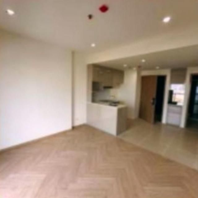 �͹� ������