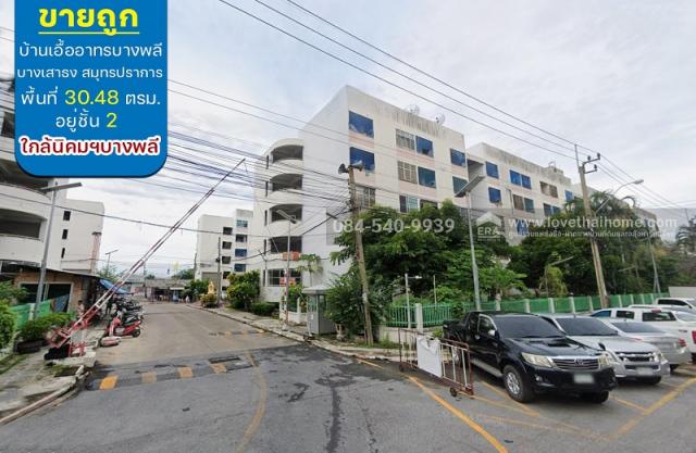 �͹ⴺҧ��Ҹ� ��طû�ҡ��