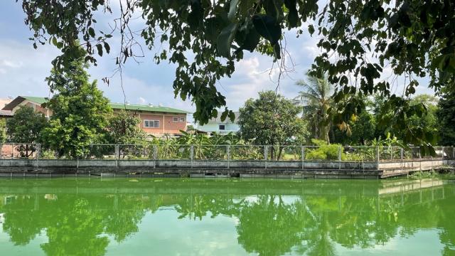 ����ӹѡ�ҹ �ҧࢹ