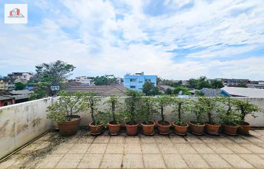 ���⡴ѧ �ҧ�