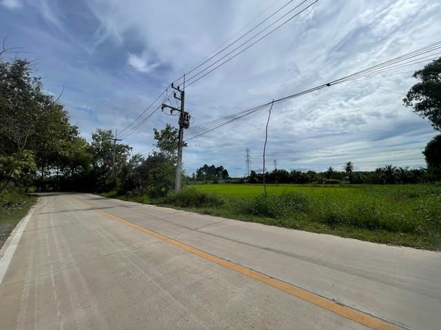 ���Թ 13 ���