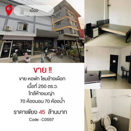 ����ѷ ���մ� �ӡѴ