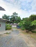 ���Թ����͡�����·ҧ �ѹ�����