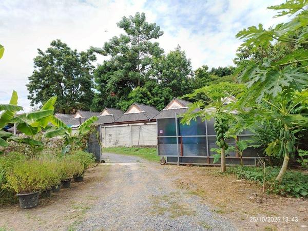 ��·��Թ �ѹ����ǡ�ا෾