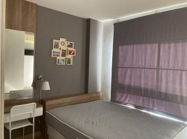 �͹����ͧ �� panaya.opalopal