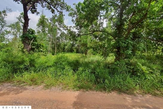 ���Թ �������