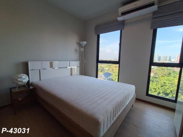 �͹����ͧ �� easythaihome