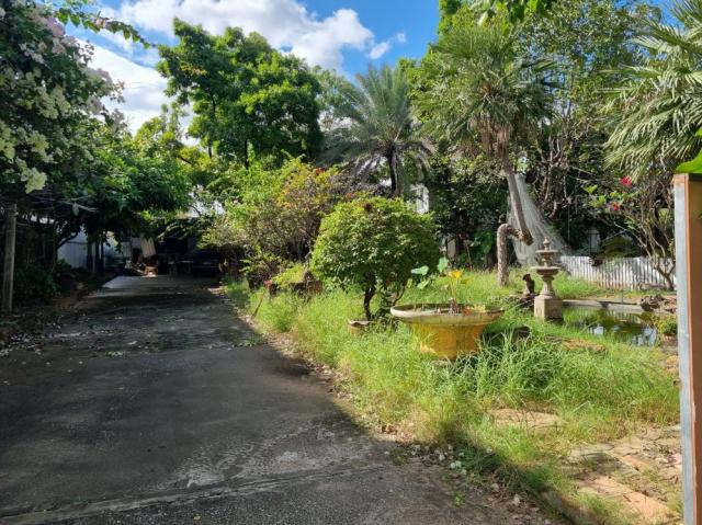 ���Թ ���ͧ �͹��