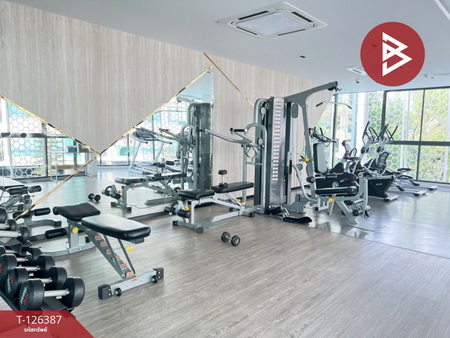 ��¤͹� ��觤��