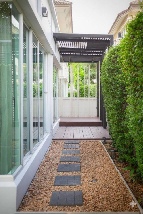 ��º�ҹ �ҧ����