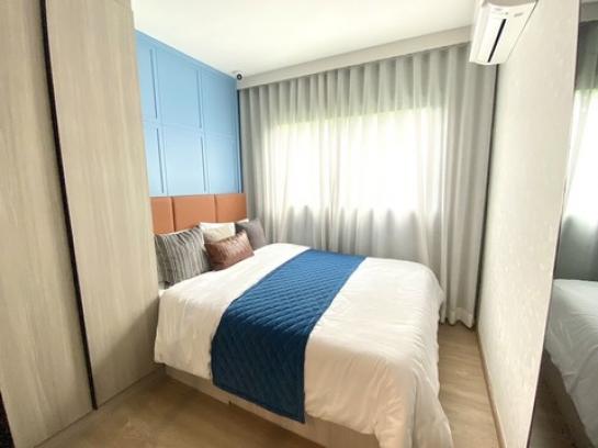 ��¤͹� �ҧ�