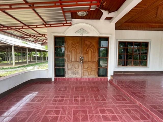 ��º�ҹ ���� �ӻҧ