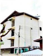 ;�����鹷��Ҥ������