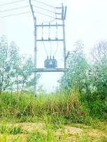 ������ �ç�ҹ �ҧ���ا