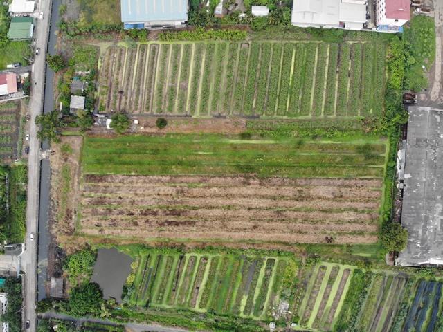 ���Թ 7 ���