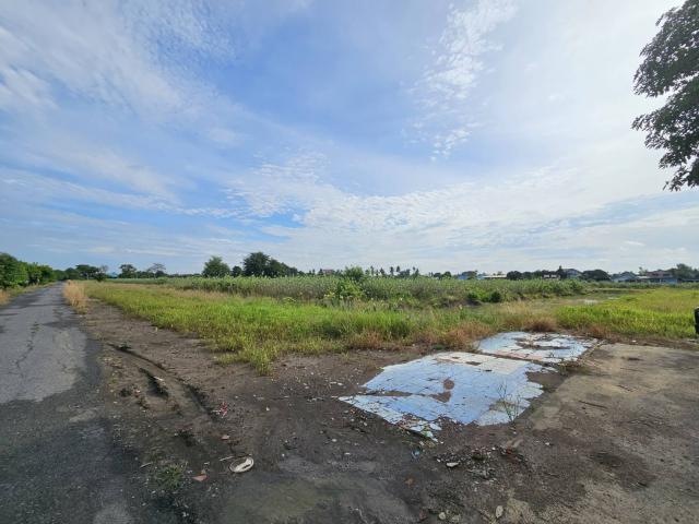 ���Թ 21 ���