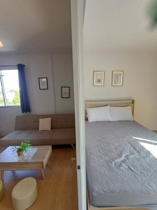 �͹ⴺҧ�л� ��ا෾��ҹ��