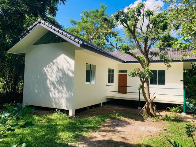 ��ҹ������� ��§����