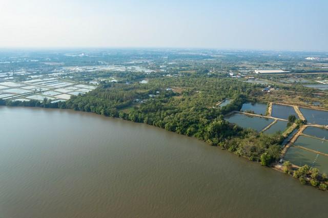 ���Թ 19 ���