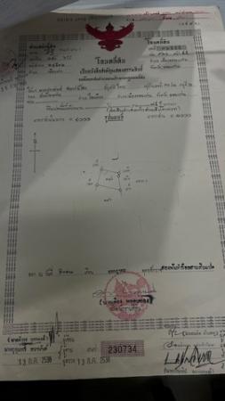 ��º�ҹ �Ⱥ�ŵӺ����ͧ�� �͹��