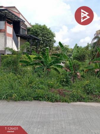 ������ͧ �� The Best Property Agent