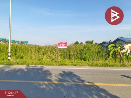 ��û�� �� The Best Property Agent