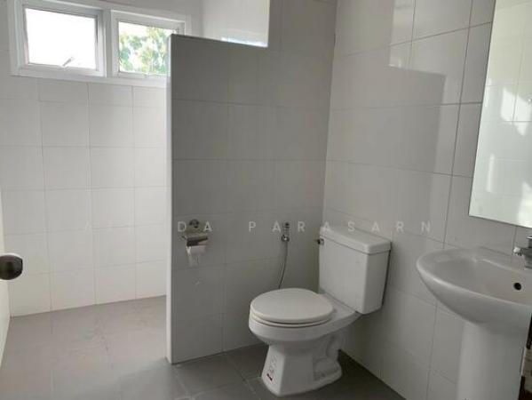 �Ҥ�þҳԪ�������� �Ҵ����ǡ�ا෾