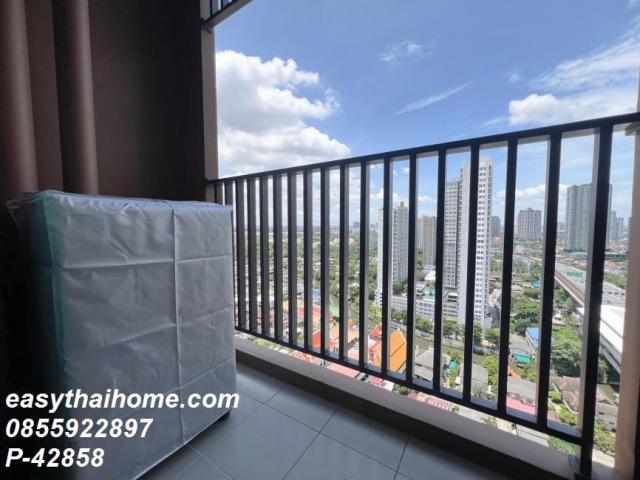 �͹����������ú ������