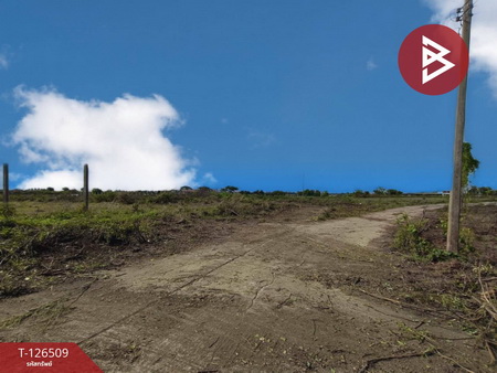 ���Թ�Ҥһ����Թ ˹ͧ�͡