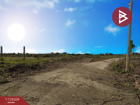 ���Թ�����ا�ѹ�� ˹ͧ�͡