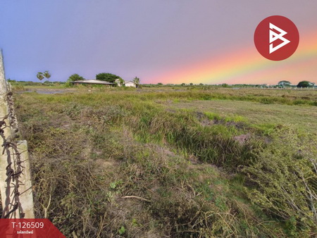 ���Թ˹ͧ�͡ ˹ͧ�͡