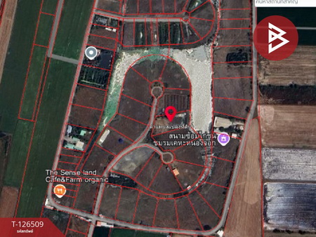 ���Թ��ا෾��ҹ�� ˹ͧ�͡