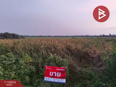 ��û�� �� The Best Property Agent