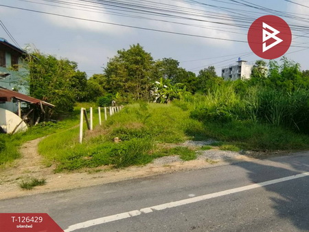 ��û�� �� The Best Property Agent