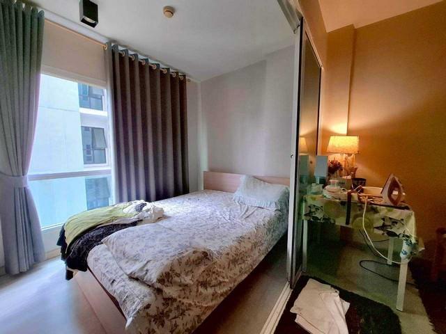 ��¤͹� 31���