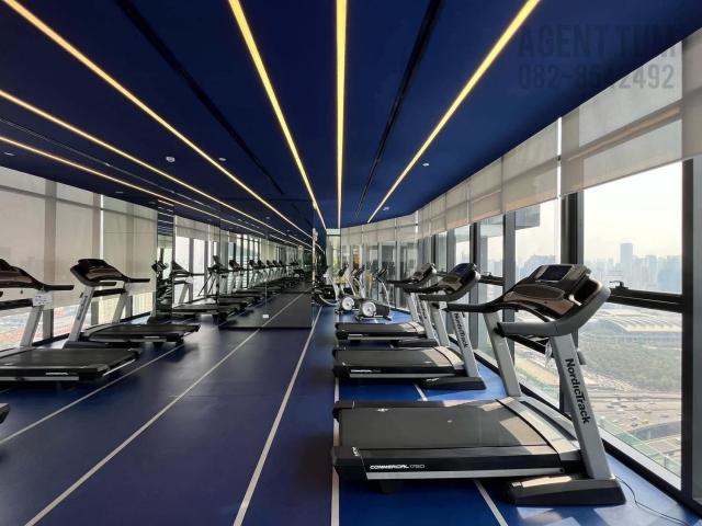 �͹�true 2 ��ͧ�͹