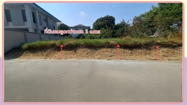 ���Թ �͹���ͧ