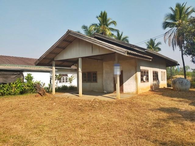 ��º�ҹ ˹ͧ���� �͹��