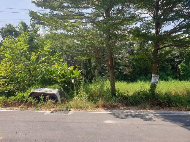 ขายที่ดิน 1,000,000 บาท ขายที่ดิน 1,000,000 บาท