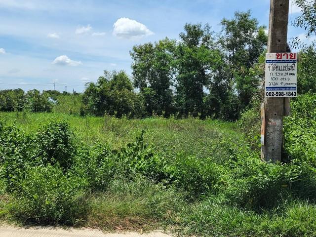ขายที่ดิน 1,000,000 บาท ขายที่ดิน 1,000,000 บาท