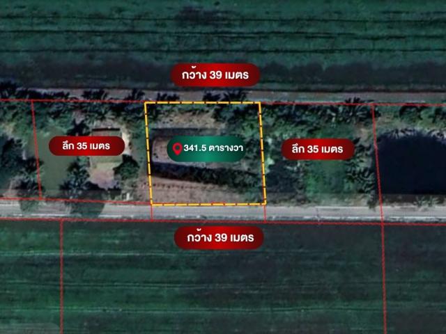 ���Թ ����ͧ