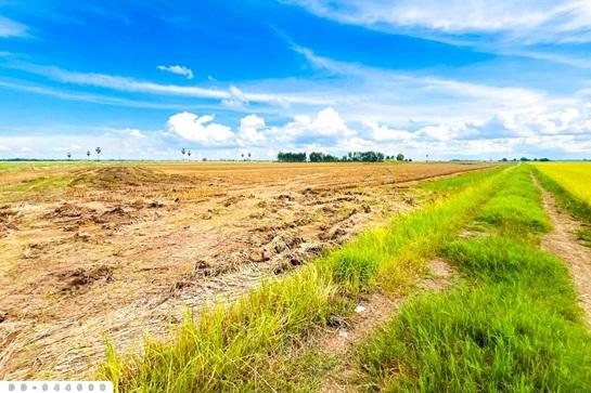 ���Թ ����ͧ