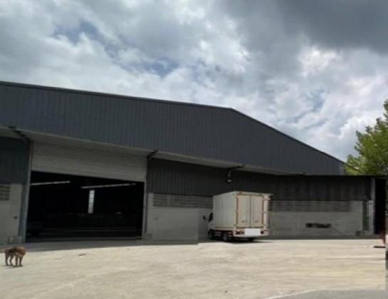 �ç�ҹ������ �ҧ���¹������