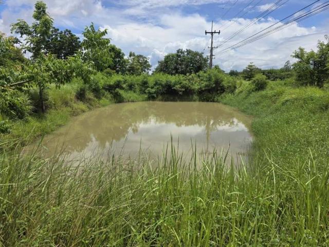 ���Թ �������