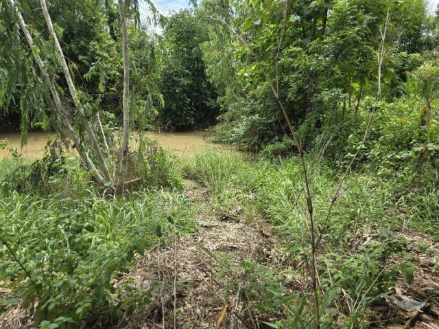 ��·��Թ �͹���ä�������