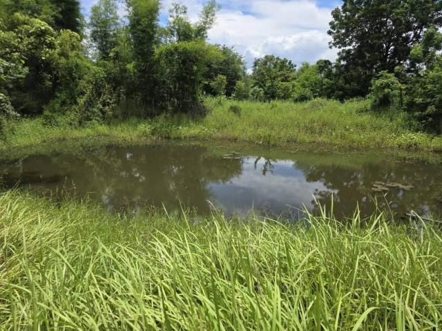 ��·��Թ �͹���ä�������