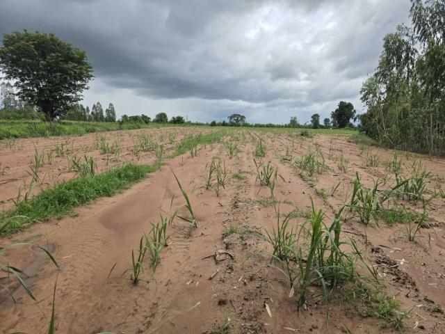 ��·��Թ �͹���ä�������