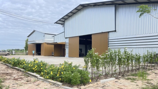 ����ç�ҹ �ҧ��������� ���ԧ���