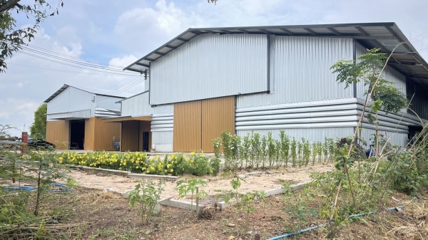 ����ç�ҹ �ҧ��������� ���ԧ���