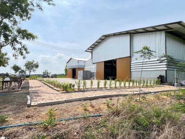 ����ç�ҹ �ҧ��������� ���ԧ���